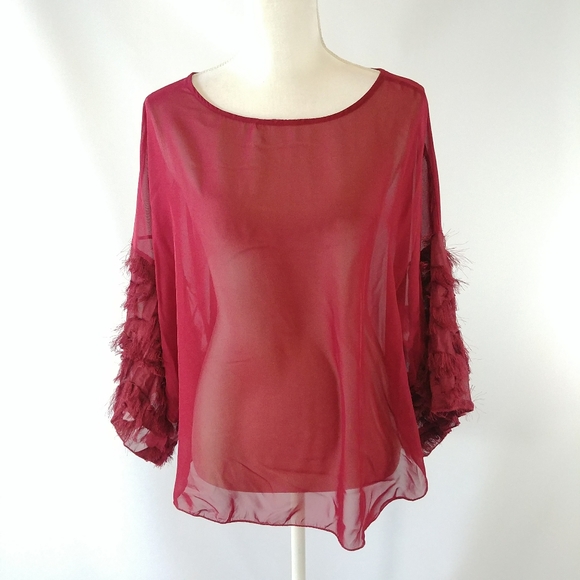 ✨3 for $30✨ Sheer Red Top w/ Detailed Sleeves - Picture 1 of 7
